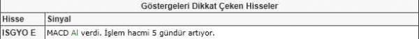 Dikkat çeken hisseler