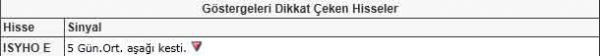 Dikkat çeken hisseler