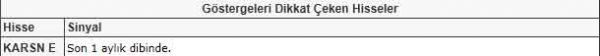 Dikkat çeken hisseler