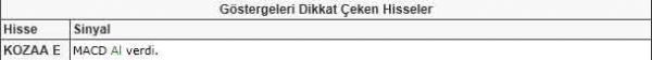 Dikkat çeken hisseler