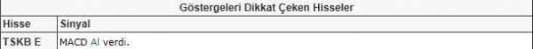 Dikkat çeken hisseler