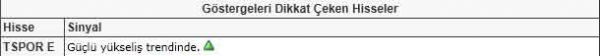 Dikkat çeken hisseler