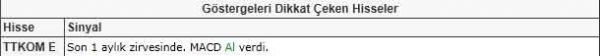 Dikkat çeken hisseler
