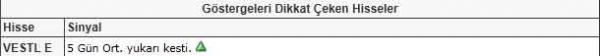 Dikkat çeken hisseler