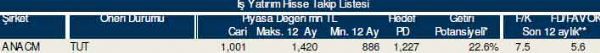 83 hisselik dev analiz