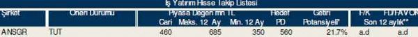 83 hisselik dev analiz