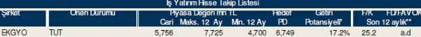 83 hisselik dev analiz