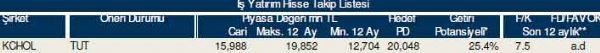 83 hisselik dev analiz