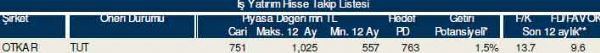 83 hisselik dev analiz