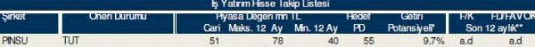 83 hisselik dev analiz