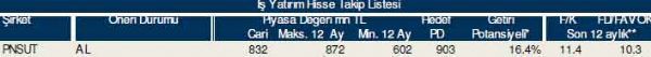 83 hisselik dev analiz