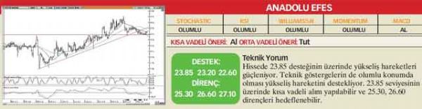 22 hisselik analiz