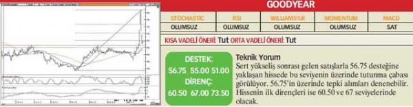 22 hisselik analiz
