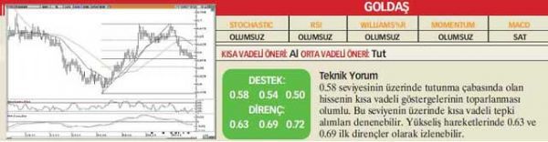 22 hisselik analiz
