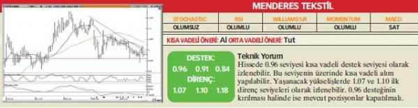 22 hisselik analiz