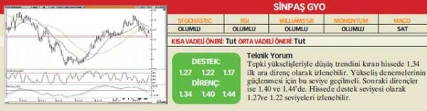 22 hisselik analiz