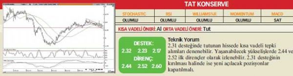 22 hisselik analiz