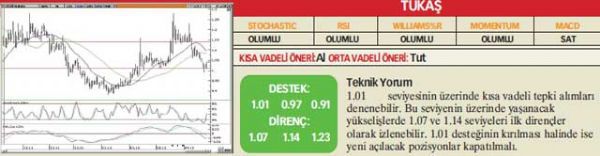 22 hisselik analiz