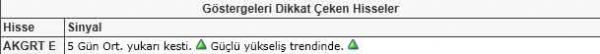 Dikkat çeken hisseler