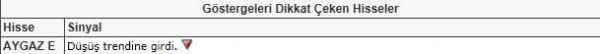 Dikkat çeken hisseler