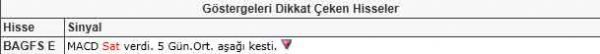 Dikkat çeken hisseler