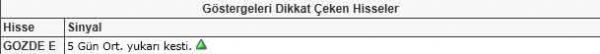 Dikkat çeken hisseler