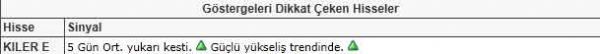Dikkat çeken hisseler