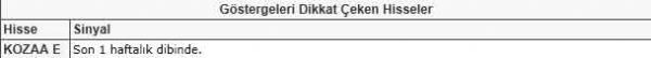 Dikkat çeken hisseler