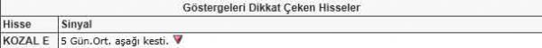 Dikkat çeken hisseler