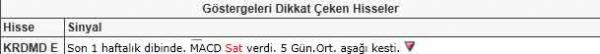 Dikkat çeken hisseler