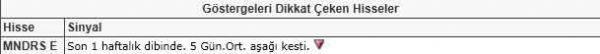 Dikkat çeken hisseler