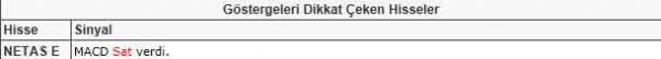 Dikkat çeken hisseler