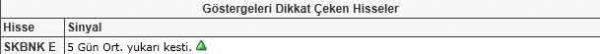 Dikkat çeken hisseler