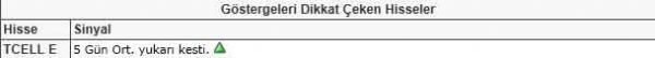 Dikkat çeken hisseler