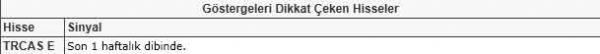 Dikkat çeken hisseler