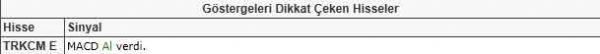 Dikkat çeken hisseler