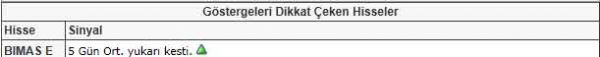 Dikkat çeken hisseler