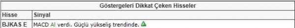 Dikkat çeken hisseler