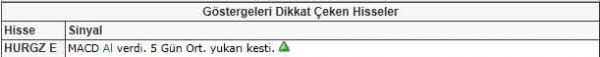 Dikkat çeken hisseler
