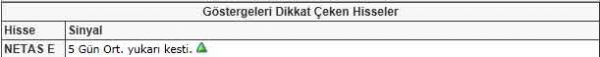 Dikkat çeken hisseler