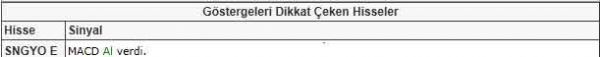 Dikkat çeken hisseler