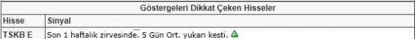 Dikkat çeken hisseler