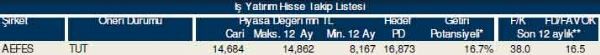 87 hisselik dev analiz