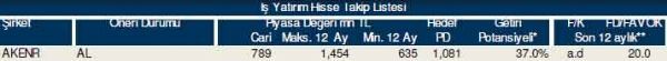 87 hisselik dev analiz
