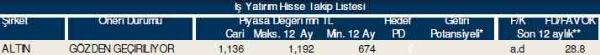 87 hisselik dev analiz