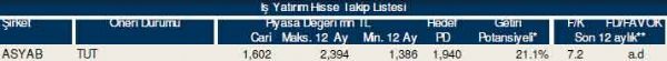 87 hisselik dev analiz