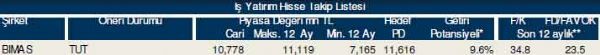 87 hisselik dev analiz