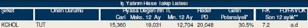 87 hisselik dev analiz