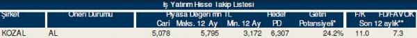 87 hisselik dev analiz