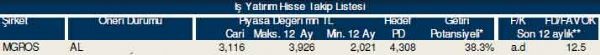 87 hisselik dev analiz